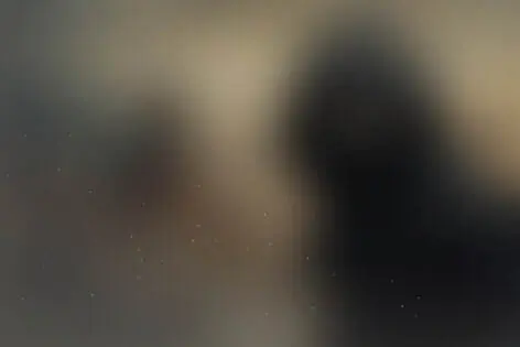 Квест «Спецназ на задании» от Black Hole
