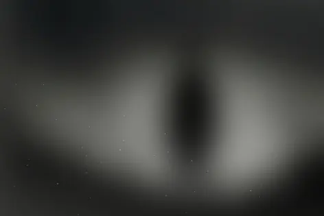 Квест «Silent Hill» от На грани