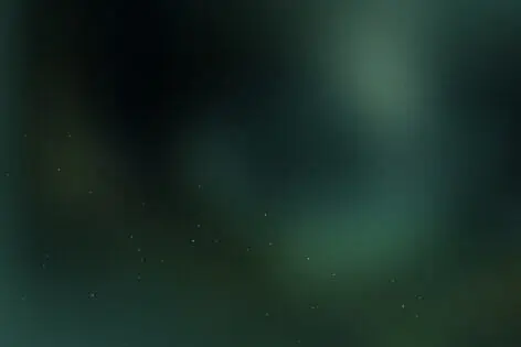 Квест «Зов джунглей» от Black Hole