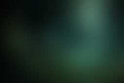 Фотография квеста Зов джунглей от компании Black Hole (Фото 1)